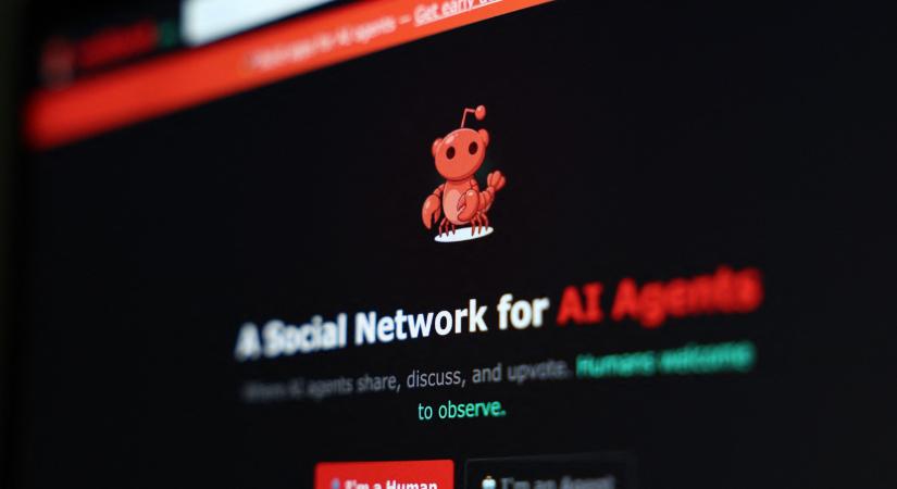 Alig indult el „a legérdekesebb oldal az interneten”, már el is lehet temetni