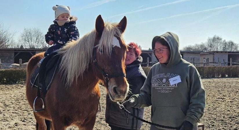 Komáromban szintet lép a farsang, itt az állatok koronázzák meg a családi bulit