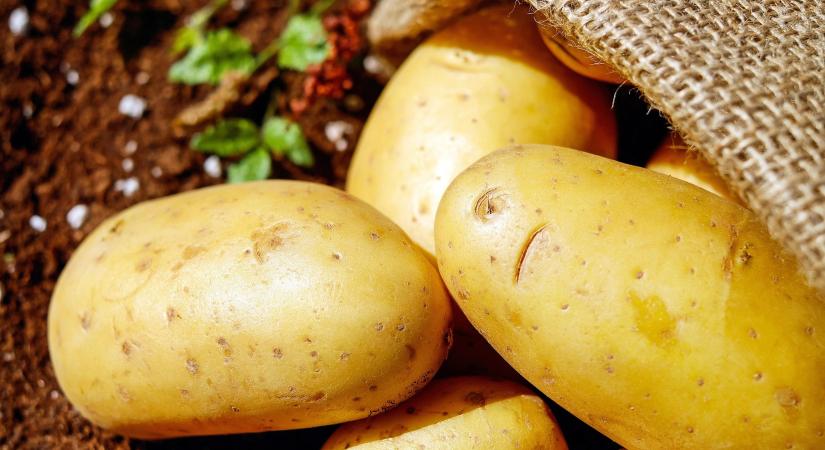 100 Ft alatt a krumpli ára ebben a nagy áruházláncban!