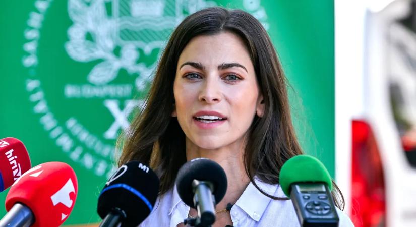 Szentkirályi: Ha a Tisza kormányra kerül, a rezsivédelemnek annyi