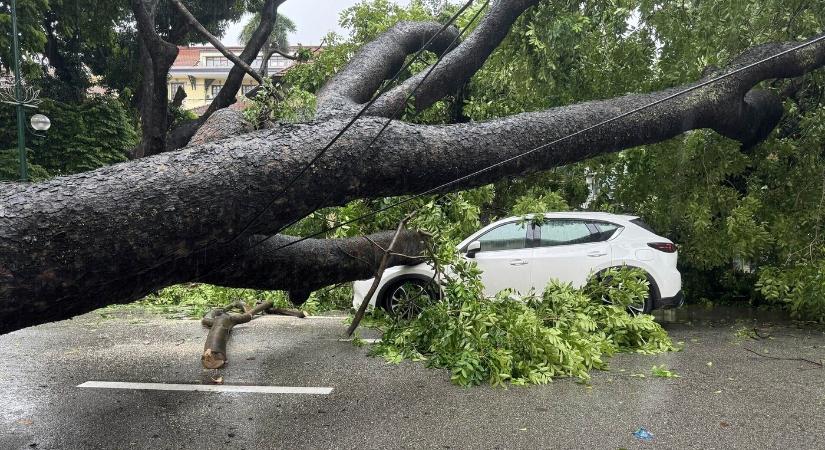 Viharos szél miatt riasztanak több járásban