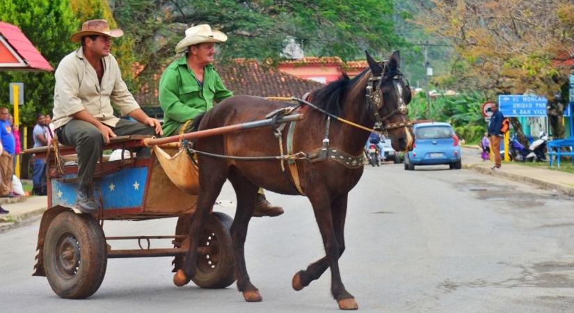 Cha-cha-cha a semmibe: mentik a turistákat a kanadaiak és az oroszok Kubából