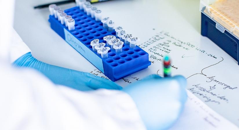 Betegek várnak a válaszokra: három nagyvárosnyi ember érintett