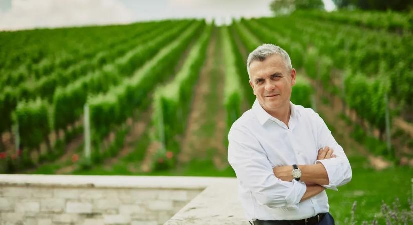 Kisebb tortából, nagyobb szelet: a világpiac szűkülése ellenére nő a magyar borkivitel