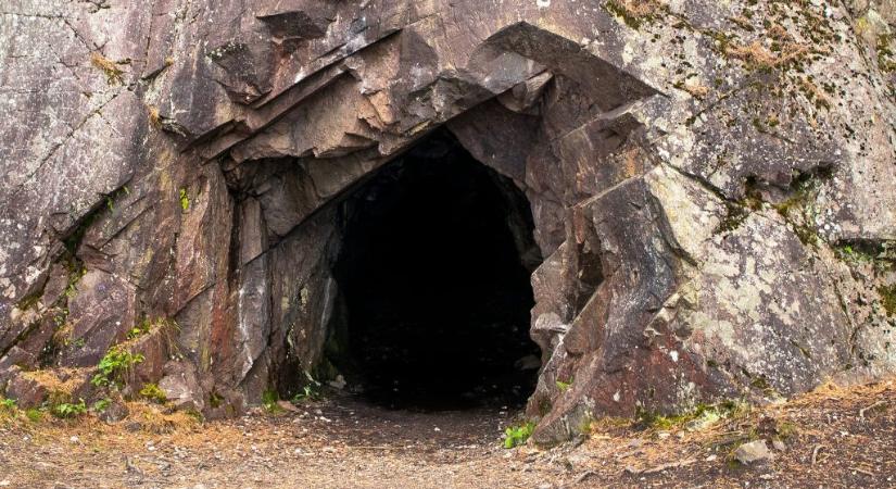Fény nélkül fotoszintetizáló mikrobákra bukkantak