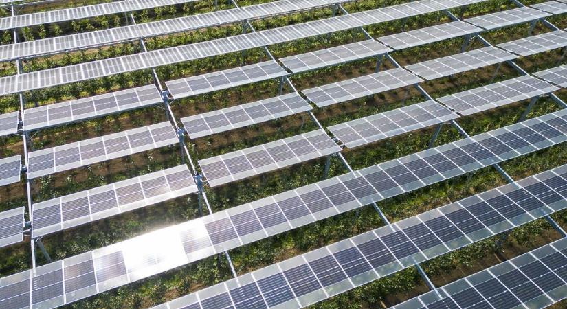 Sokan kalapot emelhetnek Magyarország előtt: hazánk tovább erősíti világelső pozícióját ezen a meghatározó területen