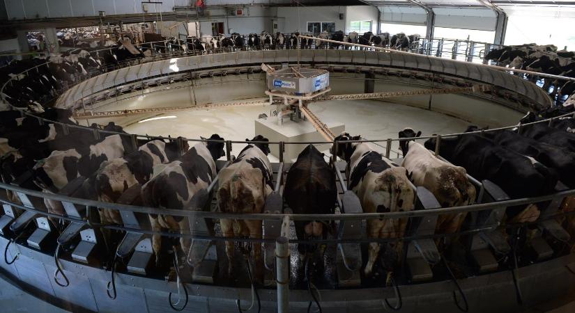 Aggasztónak látják a jövőt a gazdák egyre erősödik a bizalmatlanág a hazai agráriumban