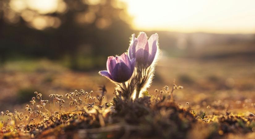 Tavaszindító kulturális ünnep Balatonfüreden