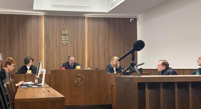 Öt év börtönbüntetést kapott a férfi, aki egy vödör vízzel ölt meg egy hajléktalan nőt