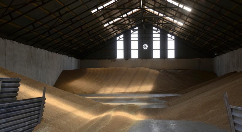 Segítik a terményraktározásban a termelőket: mutatjuk, mi jön 2026-ban