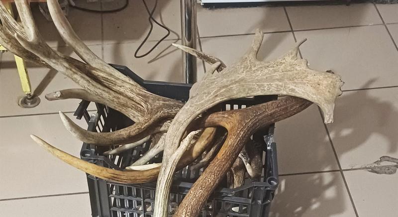 Agancsozók rendőrkézen