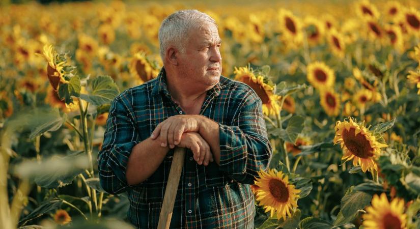 Gazdaságátadás: mire figyeljünk az egységes kérelemnél?