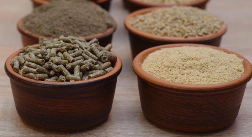 Nem akármilyen takarmánnyal robbannának be a magyarok külföldön