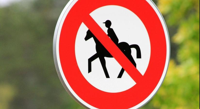 Ideje megtanulnod ezt az 5 új jelzőtáblát, hamarosan bevezetik itthon