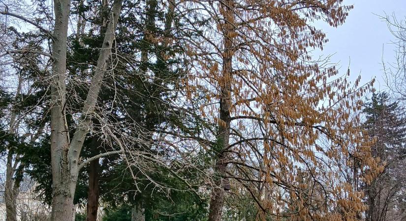 Most már nem kell sokat várni a tavaszra! Honnan tudjuk? Eláruljuk! (galéria, videó)