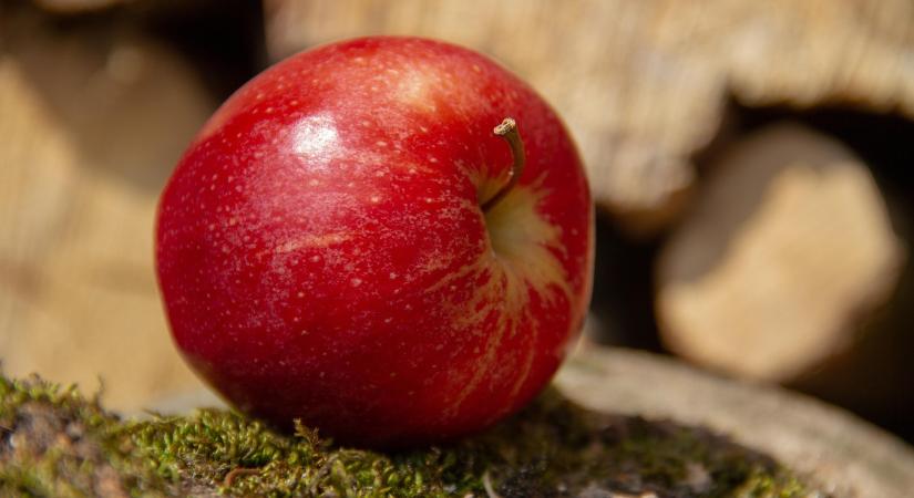 Az almatermesztés globális piaci áttekintése: 2026. január