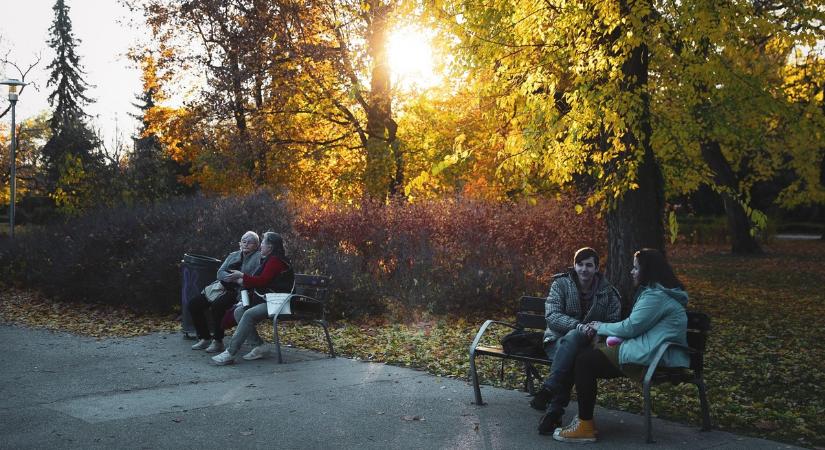 Valentin-napon kiderül, hogy mikor érkezik a tavasz – a verebek elárulják