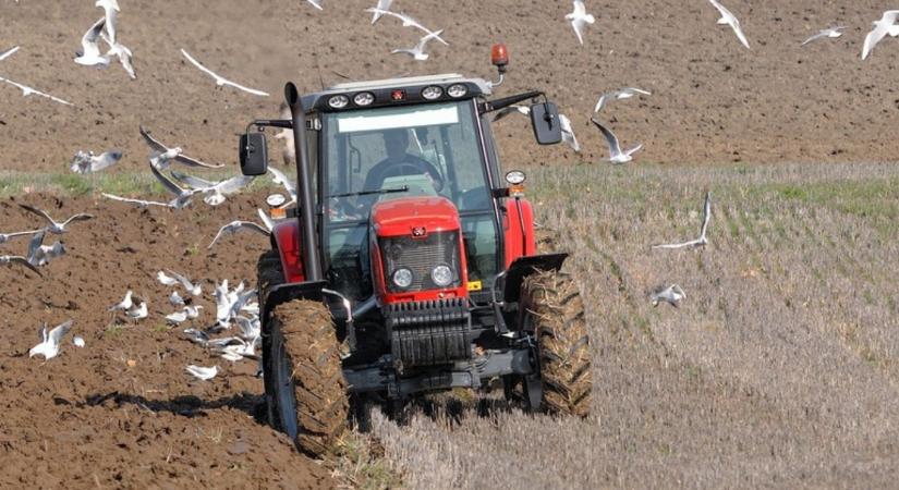 Időjárás: Újabb enyhülés jön, sok csapadékkal  VIDEÓ
