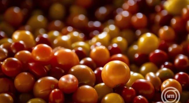 Magyar biotermékek mutatkozhatnak be Németországban