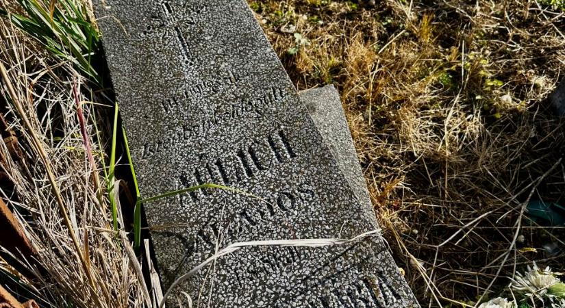 Az egyik aradi vértanú, Aulich Lajos rokonsága Zselízen