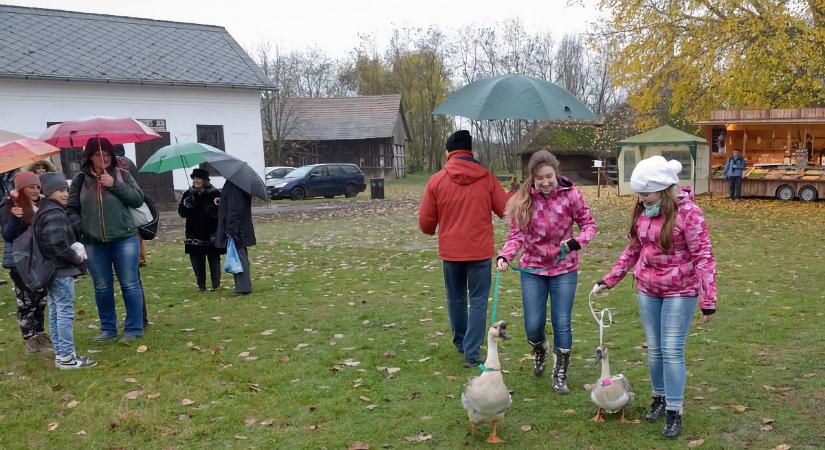 Márton-napi vigasságok a Sóstói Múzeumfaluban 2026