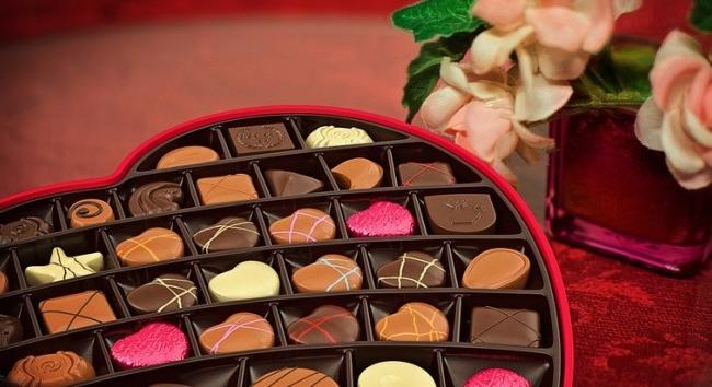 Valentin-napi programok és kedvezmények a Fővárosi Állatkertben