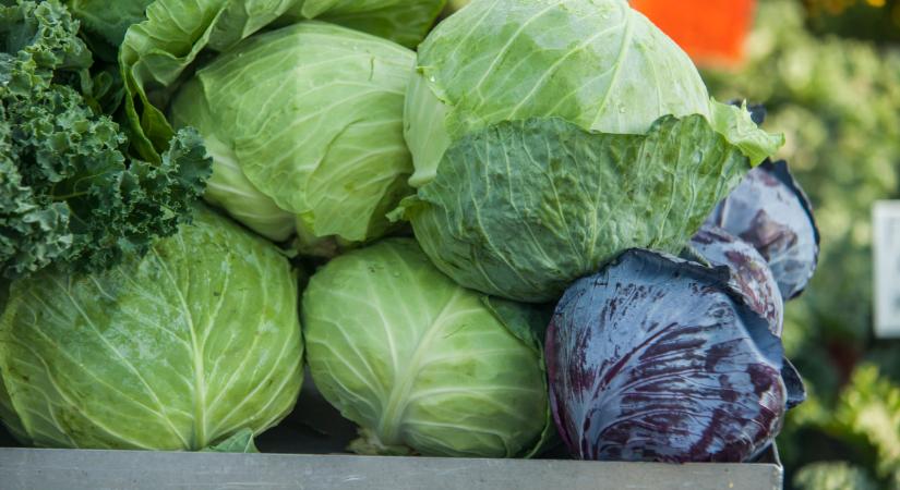 Kemény, mennyiért árulják most a káposztát rengeteg piacon