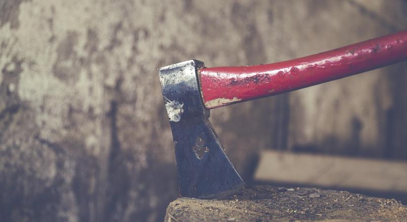 Életfogytiglant kapott a férfi, aki baltával gyilkolta meg várandós élettársát