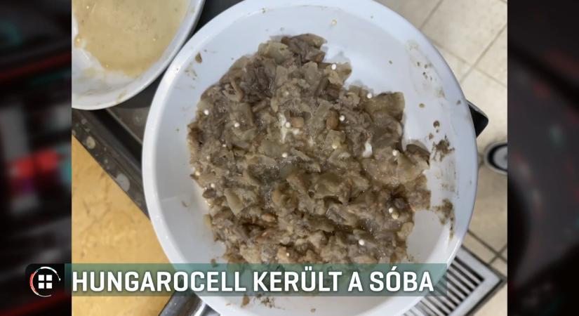 Hungarocell a menzai babfőzelékben – a sóval kerülhetett az ételbe