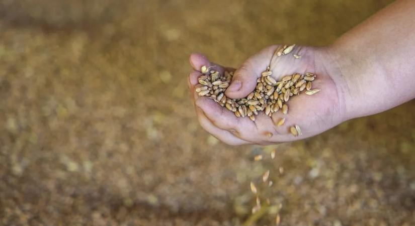 10 milliárdos sikkasztás után kattant a bilincs a vezérigazgató csuklóján