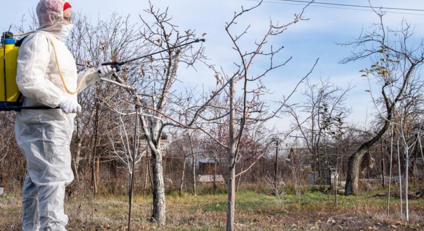 Vigyázz! A termésed látja kárát, ha ezt rosszul csinálod!