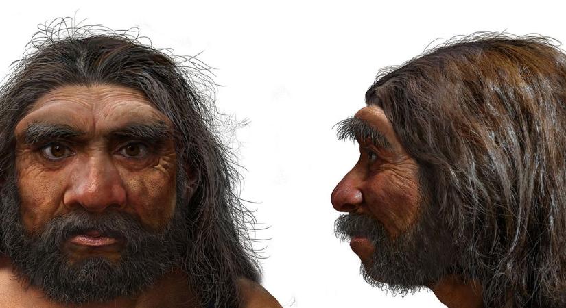 Megfejtették a Sárkányember titkát, ez mindent megváltoztat, amit eddig tudtunk az ősemberekről