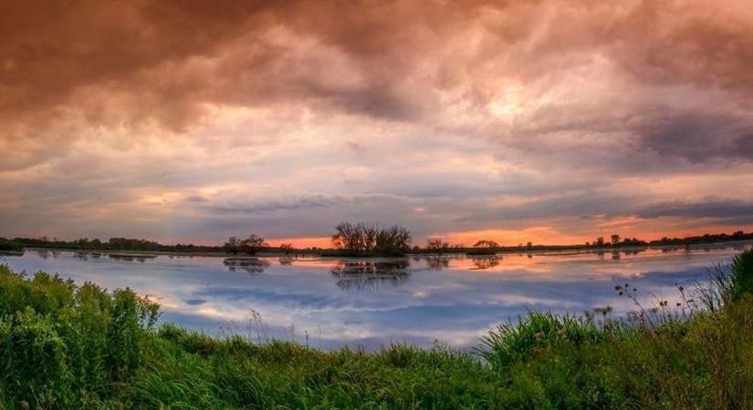 Újraindulnak a kedvelt "Hanyi szafarik" a Fertő tó környékén