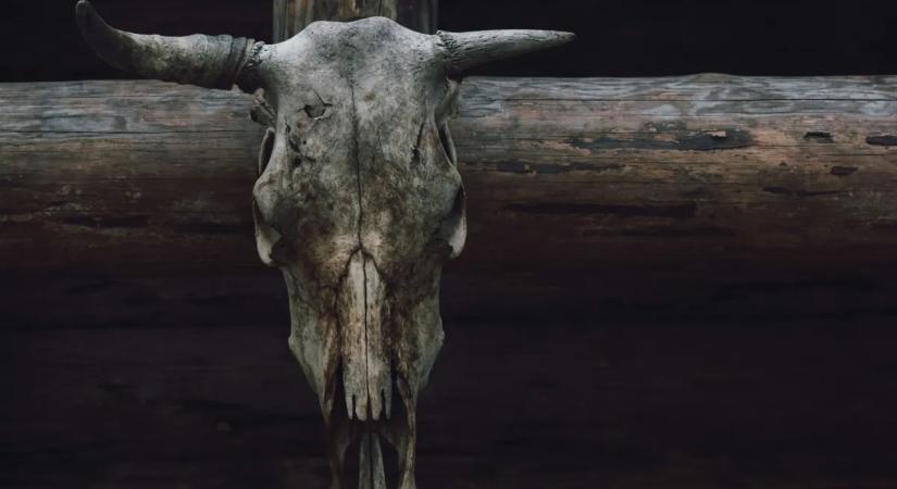 Tizedet szolgáltat a szekta a messiásának