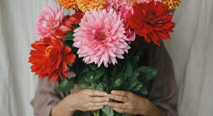 Ma, február 12.: Lídia és Lívia névnapja van – ilyen különleges jelentéssel bír a nevük