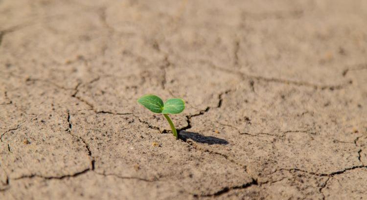 Kiszáradás veszélye és öntözésre való felkészülés: kettős kihívás a magyar mezőgazdaságban