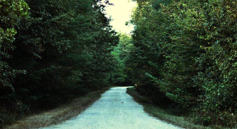 Kéktúra: vége a vakon indulásnak – új térképes funkció minden természetjárónak