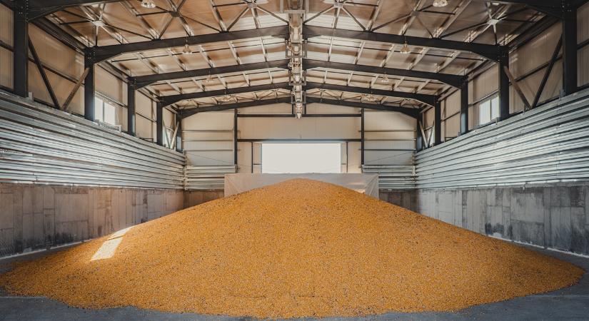 A kukoricaárak dilemmája: eladjuk, vagy beragad a készlet?
