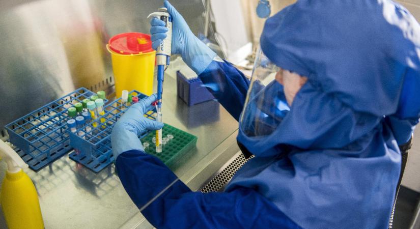 "Minden további nélkül nekiestek a biometrtikus beléptetőrendszer bevezetésének"