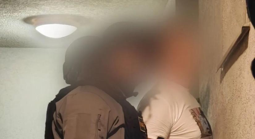 Lopott kábítószertől a profi ültetvényig: teljes droghálózat bukott le Budapesten - Videó!