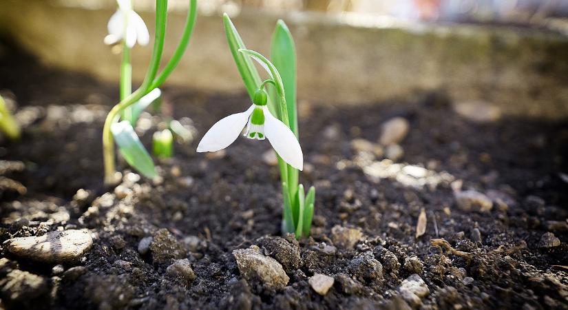 A tavaszt idéző kellemes napok után brutális hétvége jön