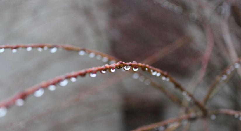 Melegfront hoz tavaszias időt és esőt csütörtökre – Akár 14 fok is lehet nyugaton