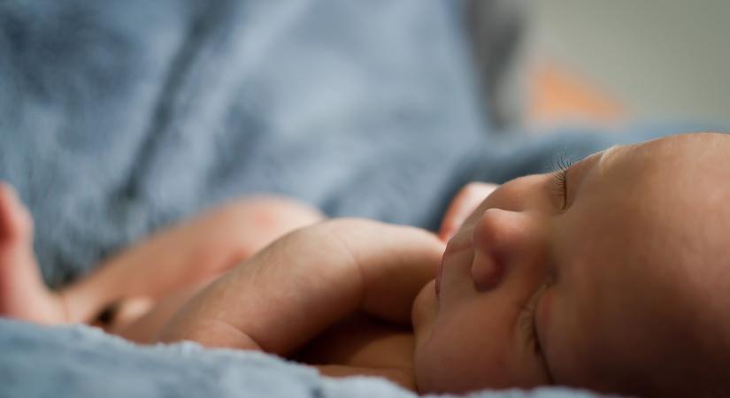 Üdv Győr, megérkeztünk! – Mutatjuk a szerdai babákat