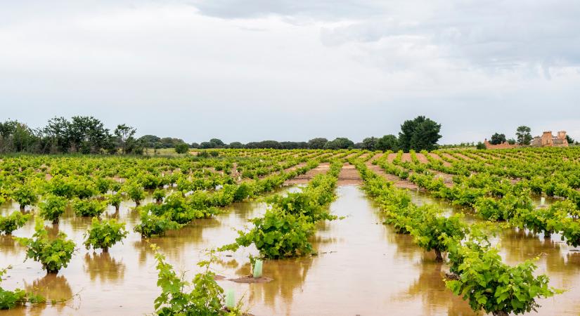 Akkora vihar söpört itt végig, hogy özönvíz mosott el mindent