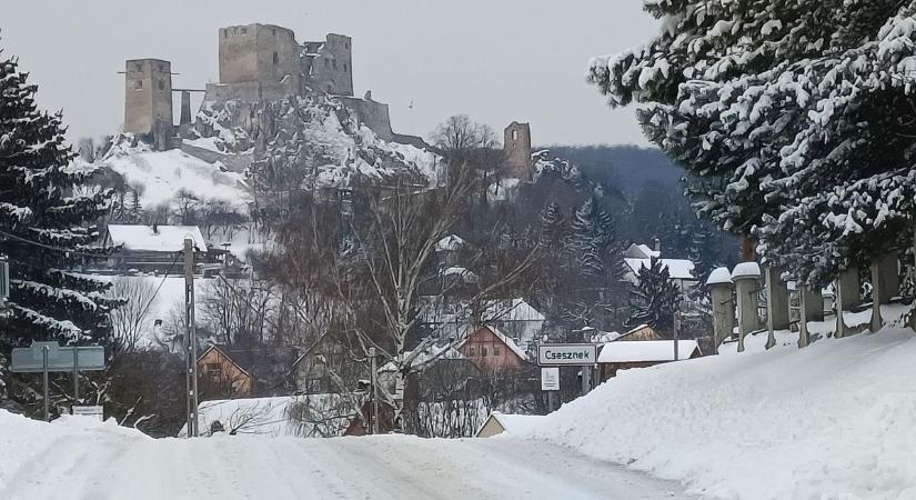 Létrejöhet a Magas-Bakony Díszpolgára cím – A Zirci járásban együtt oldanák meg a vadkárelhárítást