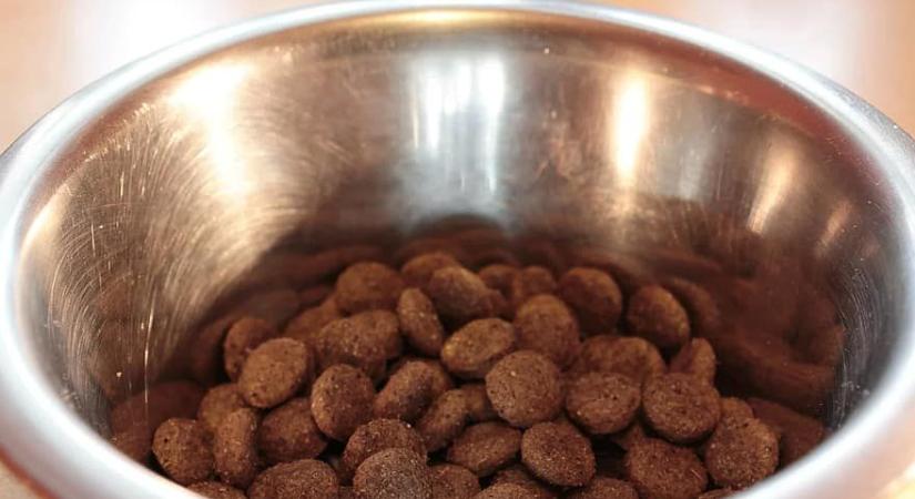 Kutyatápot lopott egy debreceni boltból