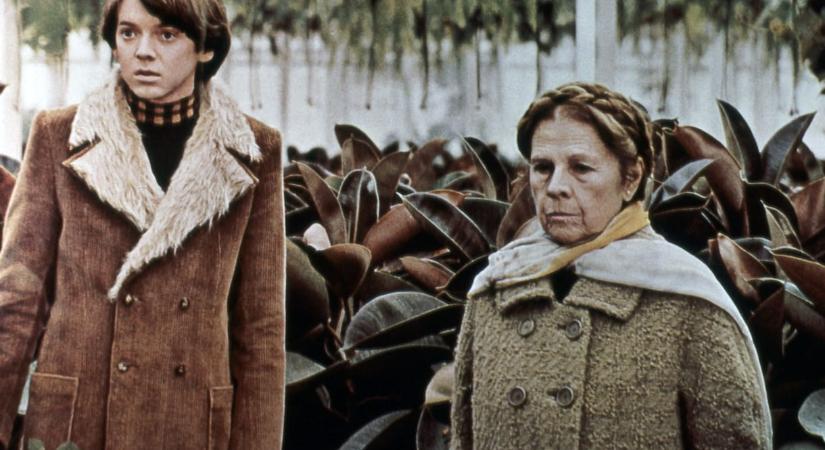 Meghalt Bud Cort, a Harold és Maude főszereplője