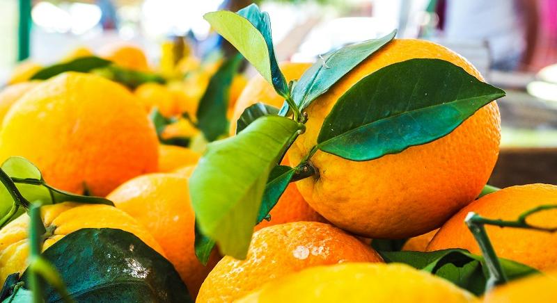 Több mint 12 tonna, magas növényvédőszer-tartalmú narancsot értékesítettek átcímkézve