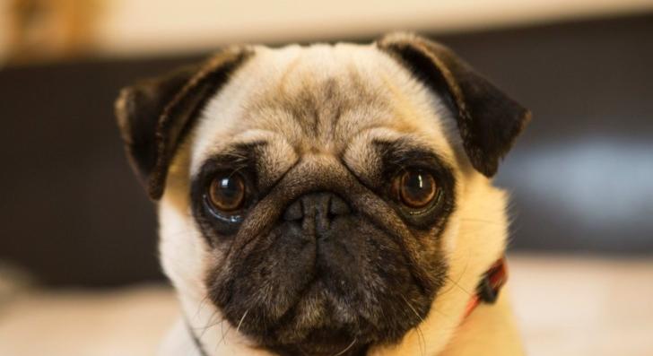 Molnár Judit: Figyelünk