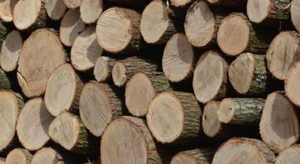 Fals számok láttak napvilágot a szociális tűzifa költségeiről